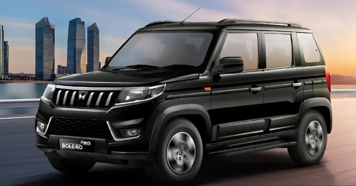 Bolero Bold